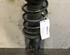 Suspension Strut FIAT Doblo Cargo (263)