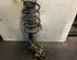 Suspension Strut FORD C-Max (DM2)