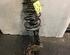 Suspension Strut FORD C-Max (DM2)