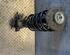 Suspension Strut VW Passat Alltrack (365)