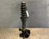 Suspension Strut VW Golf IV (1J1)