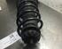 Suspension Strut VW Lupo (60, 6X1)