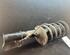 Suspension Strut HYUNDAI i10 (PA)