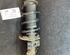 Suspension Strut SKODA FABIA II (542), SKODA FABIA I (6Y2)