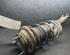 Suspension Strut FORD FOCUS Saloon (DFW)