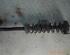 Shock Absorber RENAULT Twingo I (C06)