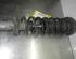 Shock Absorber BMW 5er (E39)