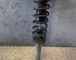 Shock Absorber BMW 5 (E60), BMW 5 (F10)