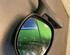 Wing (Door) Mirror RENAULT Twingo I (C06)