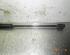 Bootlid (Tailgate) Gas Strut Spring VW Golf Plus (521, 5M1)