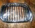 Radiator Grille BMW 5er (E39)