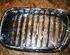 Radiator Grille BMW 5er (E39)