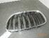 Radiator Grille BMW X5 (E53)