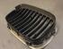 Radiator Grille BMW 5er (E39)