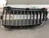 Radiator Grille BMW 3er (E90)