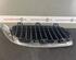 Radiator Grille BMW 4 Coupe (F32, F82)