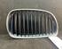 Radiateurgrille BMW 1 (E87), BMW 1 (E81)