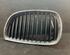 Radiator Grille BMW 1 (E87), BMW 1 (E81)