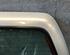 Rear Door RENAULT TWINGO I (C06_)