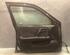 Door NISSAN Primera (P11)