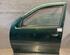 Door VW Golf IV Variant (1J5)