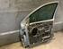 Door FORD Focus (DAW, DBW)