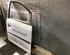 Door VW CADDY III Box Body/MPV (2KA, 2KH, 2CA, 2CH)