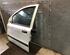 Door FIAT PANDA (169_), FIAT PANDA Hatchback Van (169_)