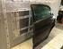 Door FIAT PUNTO (199_), FIAT GRANDE PUNTO (199_), FIAT PUNTO EVO (199_)