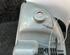 Door Handle RENAULT TWINGO I (C06_)