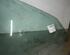 Door Glass BMW 5er Touring (E39)