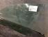 Door Glass FORD Focus Turnier (DNW)