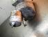 Air Conditioning Compressor RENAULT Laguna I (556, B56)