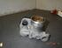 Throttle Body MERCEDES-BENZ A-Klasse (W168)