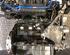 Bare Engine FIAT Grande Punto (199)