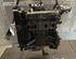 250499 Motor ohne Anbauteile FIAT Grande Punto (199) 199A4000