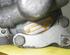 Power steering pump BMW 3 (E36)