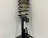 Shock Absorber SMART FORTWO Coupe (451)