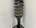 Shock Absorber SMART FORTWO Coupe (451)