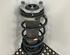 Shock Absorber MAZDA 2 (DE_, DH_)