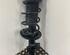 Shock Absorber VW POLO (AW1, BZ1)