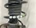 Shock Absorber VW POLO (AW1, BZ1)