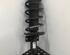 Shock Absorber SKODA FABIA III Estate (NJ5)