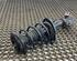 Shock Absorber RENAULT MEGANE III Grandtour (KZ0/1), RENAULT MEGANE III Coupe (DZ0/1_)