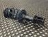 Shock Absorber RENAULT MEGANE III Grandtour (KZ0/1), RENAULT MEGANE III Coupe (DZ0/1_)