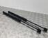 Gas Spring HYUNDAI i20 (GB, IB), HYUNDAI i20 II Coupe (GB)