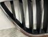 Radiator Grille SEAT IBIZA IV (6J5, 6P1), SEAT IBIZA IV SC (6J1, 6P5)