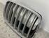 Radiator Grille BMW X5 (E70)