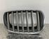 Radiator Grille BMW X5 (E70)