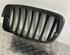 Ziergitter Grill Kühlergrill Niere Fronthaubengrill rechts BMW X5 E70  7 185 224